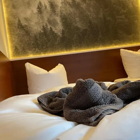 Safir Przy Samym Wyciagu B&B 3*