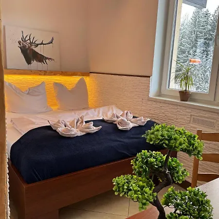 Safir Przy Samym Wyciagu Отель типа 