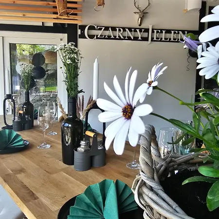 Alojamento de Acomodação e Pequeno-almoço Safir Przy Samym Wyciagu Karpacz