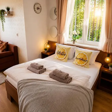 Safir Przy Samym Wyciagu Bed & Breakfast 3*