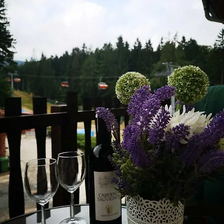 Safir Przy Samym Wyciagu 3* Карпач