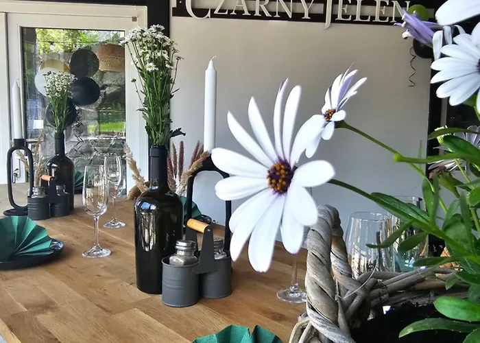 Bed & Breakfast Safir Przy Samym Wyciagu Karpacz