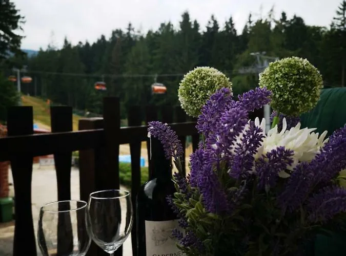 Safir Przy Samym Wyciagu 3* Karpacz